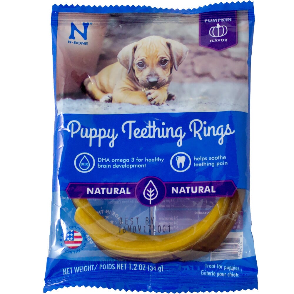 NBone® Puppy Teething Ring Pumpkin Flavor Single HealthyPets