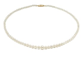 AAA 3.5 x 9.5mm Graduated Pearl Necklace