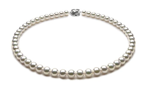 TRUE AAA Quality 7.5 x 8mm Natural White Akoya Cultured Pearl Necklace