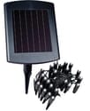Solar Powered LED Plant and Border Light - By Maxsa Innovations - Item# 48820
