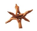 Cobra Natural Wood Base For 4.5-inch MOVA Globes