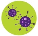 test item