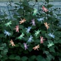 Color Changing Dragonfly Solar String Lights