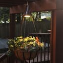 Plant Basket with Light and Solar Panel