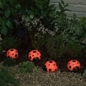 Solar Ladybug Accents 4 Piece Set, a solar accent light for shrubs and flowerbeds