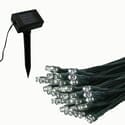 Solar Light Strand - 50 LED - Warm White