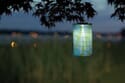 Soji LED Solar Lantern - Lime Leaf Limited Edition