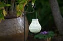 Soji Stella Bulb - Pearl with White LED