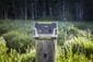 Goal Zero Yeti 150 and Nomad 20 Solar Power Station Kit