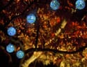 Solar String Lights - Hand-Blown Glass
