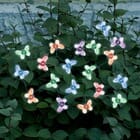 Color Changing Butterfly Solar String Light