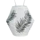 Soji Canvas - Round Diamond - Black Palm