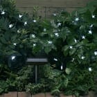 White Star Solar String Light 30 Energy Saving White LEDs
