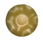 SeaGlass 15" Wave Bowl