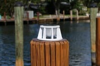 8 Inch Solar Piling Light for Salt and Fresh Water Rated Docks