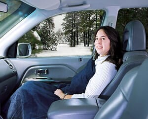 12v Heated Car Blanket 12v Heated Car Blanket 6 Png