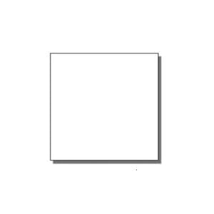 Monarch 3-Line Blank Labels for 1153 Monarch 3-Line Blank Labels for 1153