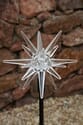 Starburst Solar Stake Light - Color Changing Solar Lights