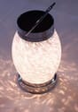 Solar Boaters Lantern - White Oval