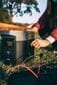 EcoFlow Delta Solar Generator Kit with 320 Watts of Solar