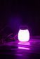 Glow Harmony Portable LED Speaker Lantern