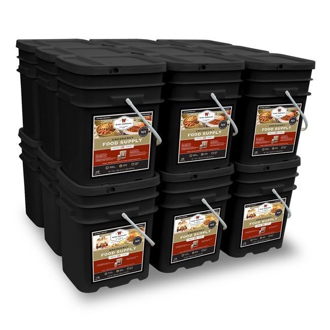 Wise Company 2160 Serving Package - Long-Term Food Supply for Emergencies