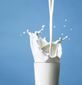 Ready Wise Milk - Long-Term Whey Milk - 120 Servings