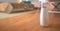 Airfree Tulip 1000 Filterless Covid-19 Air Purifier