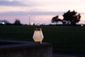 Allsop Boaters Glass Cone Solar Lantern