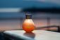 Coral Gem Light Glass Solar Lantern