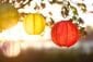 Soji LED Solar Lanterns