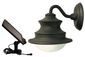 Solar Barn Light With Gooseneck Wall Mount for Patios, Garages, Sheds and Greenhouses