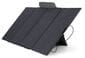 Ecoflow Wave Portable Air Conditioner and Delta Pro Power Station - With 800 Watts of Solar