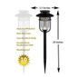 Classy Caps High Performance Solar Landscape Path and Garden Light - 2 Pack