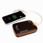 Grape Solar Stone Portable Device Charger with 5200mAh Polymer Lithium Ion Battery
