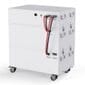 Natures Generator Powerhouse Platinum PE Plus System