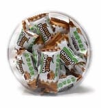 TerraNut - Pnut Punch Superfood Energy Snack (24 Piece Container) Cold-Pressed, Gluten-Free, Vegan