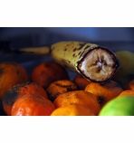 Anti-Oxidants