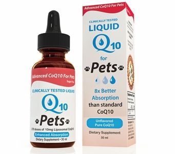 Liquid CoQ10 For Pets - Enhanced Absorption