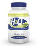 H2Q Advanced Bioavailability CoQ10 (100mg / 60 count) Pure Advanced Absorption Hydro-Q-Sorb CoQ10