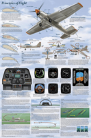 Basics of Flight Aviation Poster - Laminated Basics of Flight Aviation Poster - Laminated