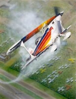 Christen Eagle Airplane Art Print - Limited Edition Christen Eagle Airplane Art Print - Limited Edition