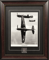 P-40 Warhawk Airplane Collectible Skin Relic P-40 Warhawk Airplane Collectible Skin Relic