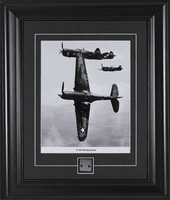 P-40 Warhawk Airplane Collectible Skin Relic P-40 Warhawk Airplane Collectible Skin Relic