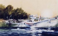 Lake Renegade Airplane Print