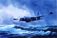 P-2V Neptune Airplane Print P-2V Neptune Airplane Print