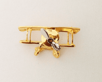 Biplane Pin Biplane Pin