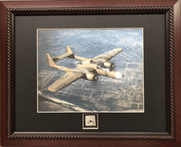 P-61 Black Widow Airplane Skin Relic P-61 Black Widow Airplane Skin Relic