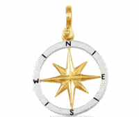 Silver & Gold Compass Rose Pendant 