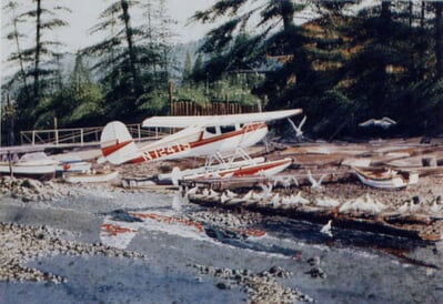 Cessna C-140 Airplane Art Print